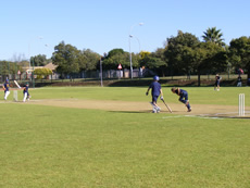 Superkids  Cricket